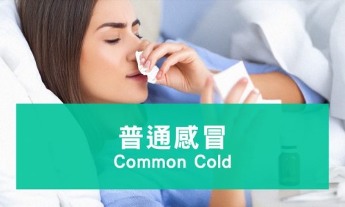 怀孕期间能不能吃葡萄-怀孕期间可以吃葡萄嘛-专业怀孕期间可以吃葡萄吗平台-怀孕期间可以吃葡萄吗