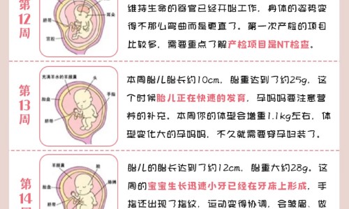 怀孕期间可以吃葡萄嘛-专业怀孕期间可以吃葡萄吗平台-怀孕期间可以吃葡萄吗