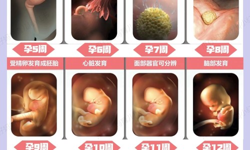 怀孕期间可以吃葡萄嘛-专业怀孕期间可以吃葡萄吗平台-怀孕期间可以吃葡萄吗