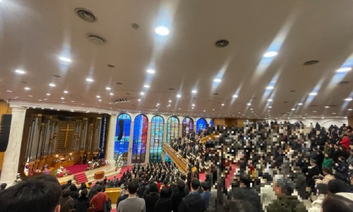怀孕期间可以吃葡萄嘛-专业怀孕期间可以吃葡萄吗平台-怀孕期间可以吃葡萄吗